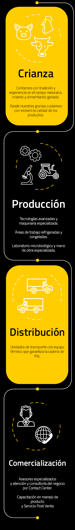 Infografía Proceso Productivo