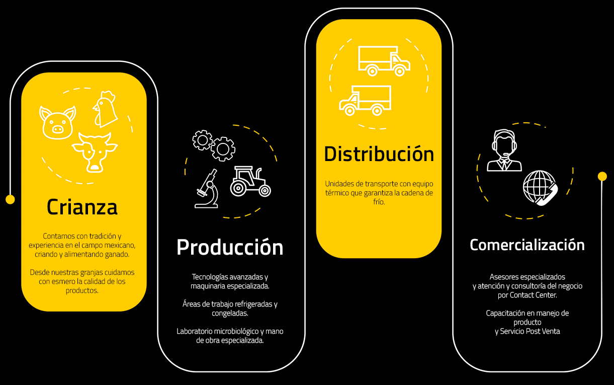 Infografía Proceso Productivo